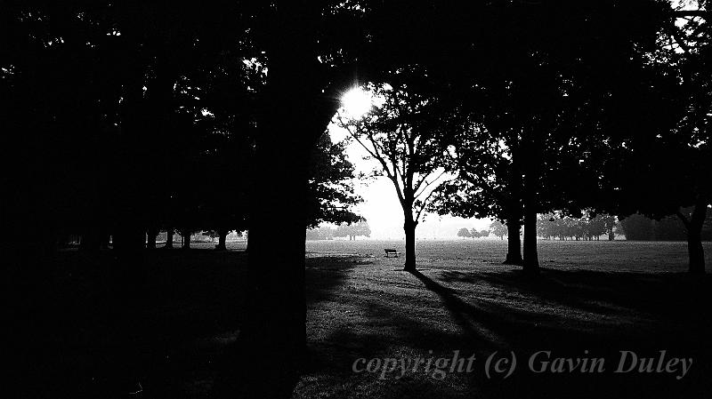 Christchurch botanic gardens 00580001.JPG - Kodak TriX 400 film